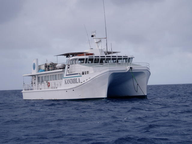 Mothership at Frederick Reef